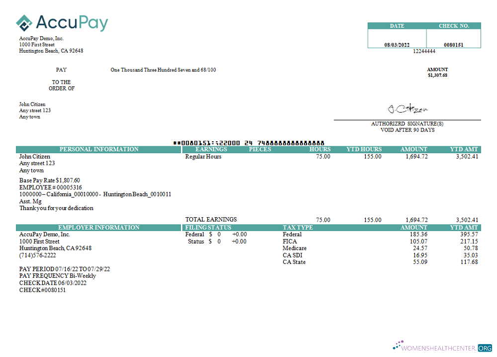 Download USA Accupay Demo Inc. payroll company Photoshop template